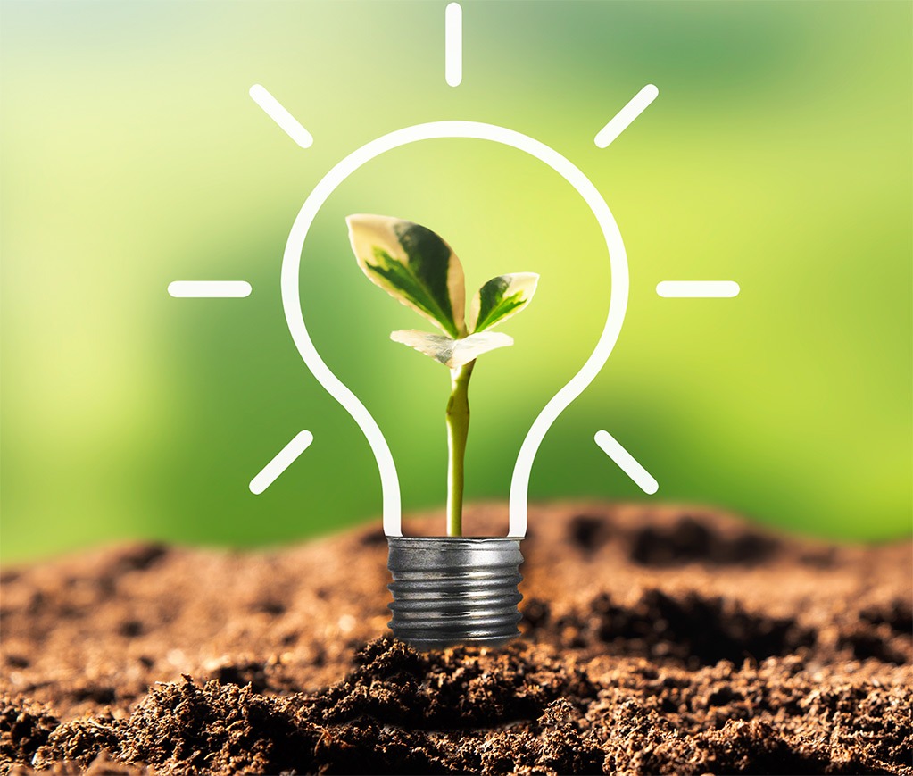 A light bulb outline encases a young green plant sprouting from rich soil, symbolizing innovative growth and sustainable ideas.