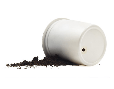 A tipped-over white flower pot with soil spilled out, illustrating a gardening mishap or plant maintenance issue.