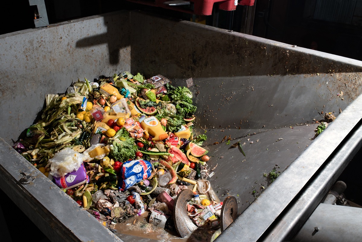 A large dumpster filled with discarded food, including fruits and vegetables, highlighting the issue of food waste in urban environments.