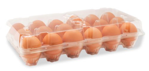 A clear plastic carton containing a dozen brown eggs, showcasing their smooth, intact shells, ideal for cooking or baking.