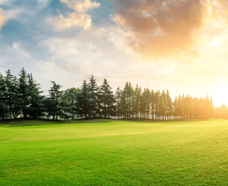 Lush green golf course under a dramatic sky, with trees lining the horizon and a warm sunset casting light across the landscape.
