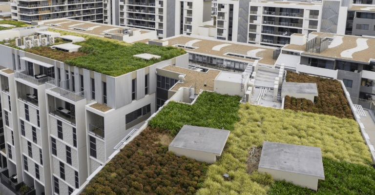 Green roofs cover modern apartment buildings, featuring a mix of plants and grasses, promoting urban sustainability and environmental benefits.