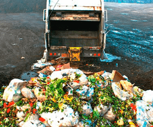 A garbage truck, with its back open, unloads a large pile of waste, including food scraps and plastic bags, onto a disposal site.