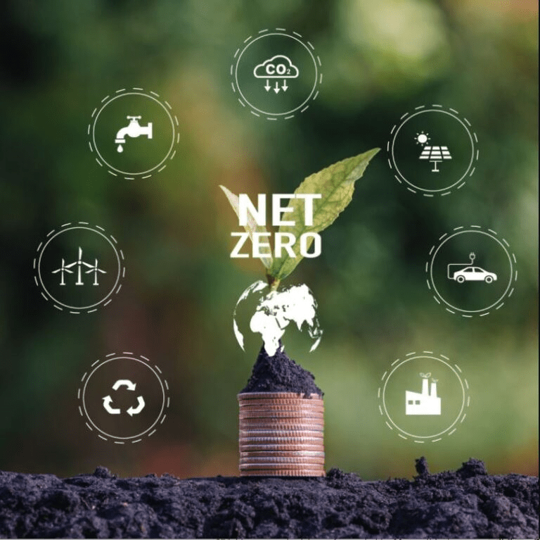 Plant growing from coins, symbolizing financial investment in achieving net-zero emissions, surrounded by icons representing sustainability initiatives.