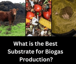 Cow manure, food waste, and biogas are depicted, highlighting different substrates for biogas production. Relevant to sustainable energy discussions.