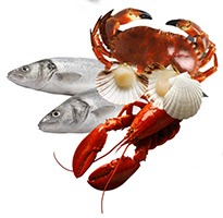 A lobster, crab, and scallops surround two fish, showcasing a variety of seafood. Relevant for culinary contexts or seafood menus.