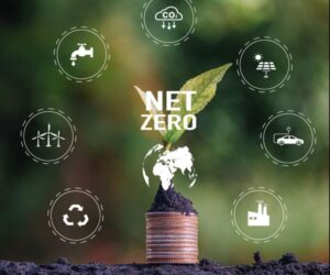 Net Zero Green Earth